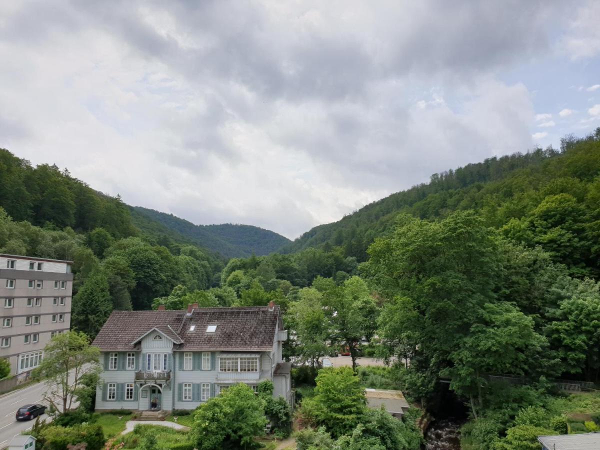 Apartz - Bad Harzburg - Apartment Mit Sauna In Idealer Lage Mit Bergblick Ngoại thất bức ảnh
